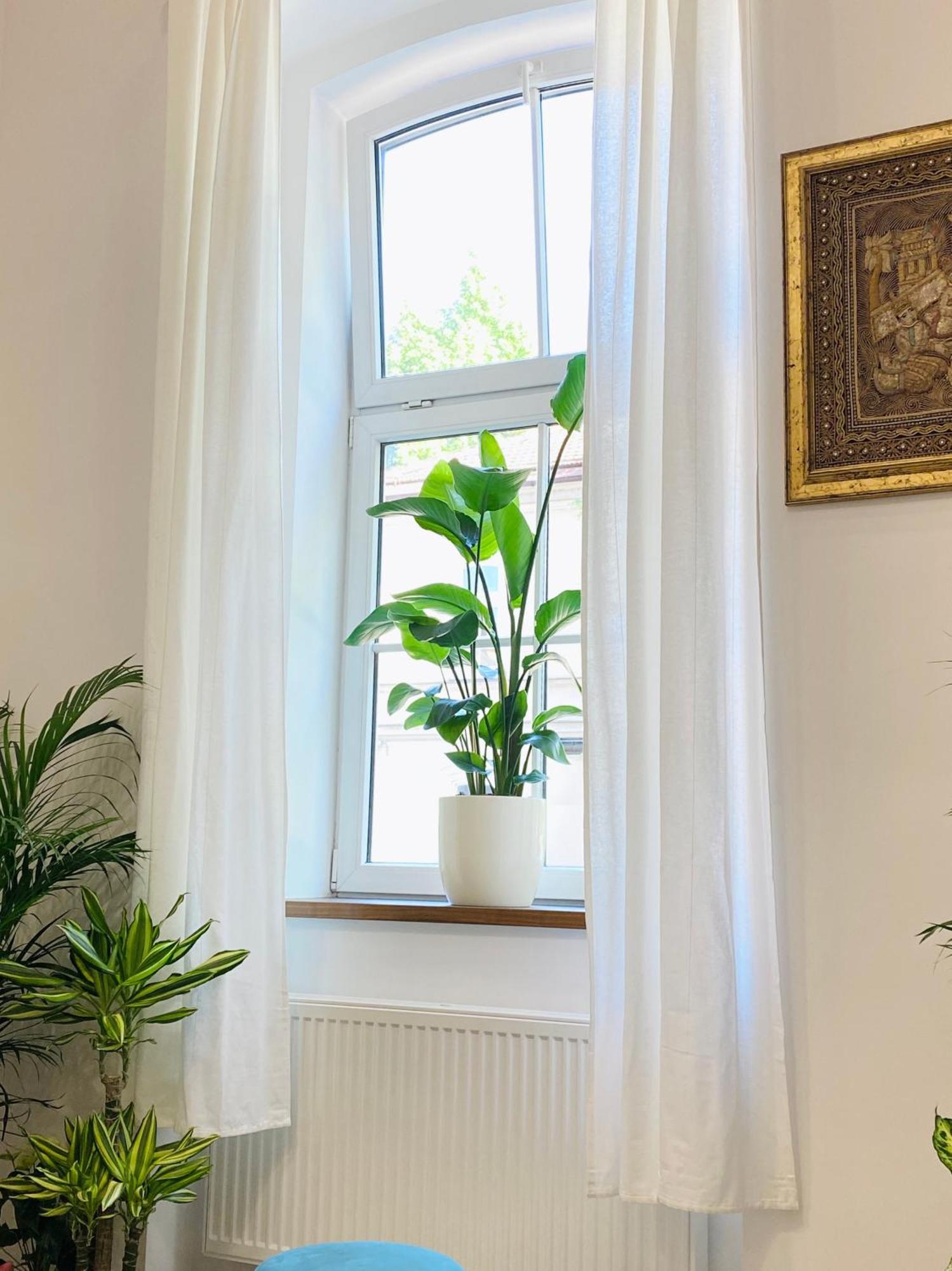 Jungle Loft - Central/Free Parking Ljubljana Kültér fotó