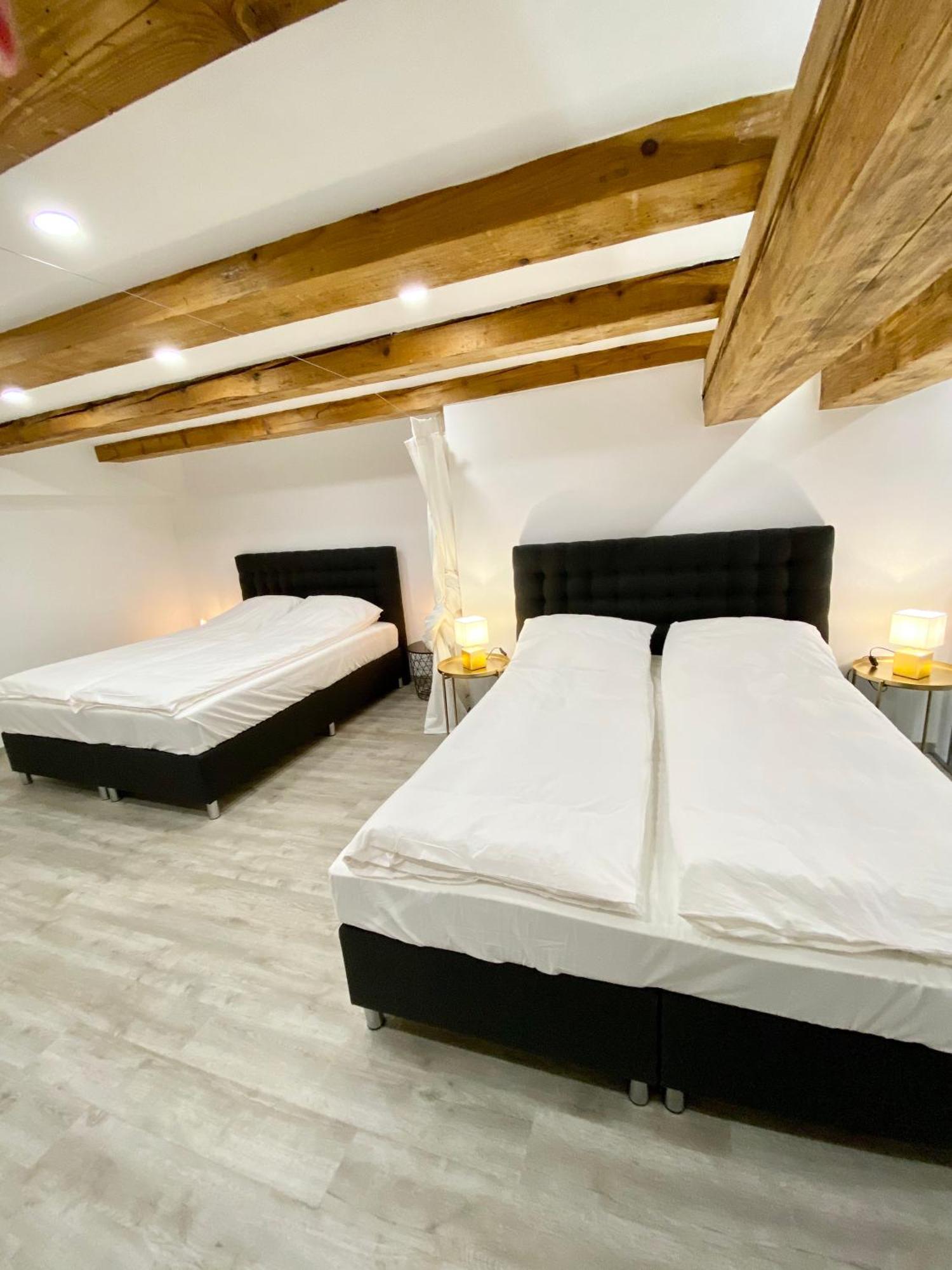 Jungle Loft - Central/Free Parking Ljubljana Kültér fotó