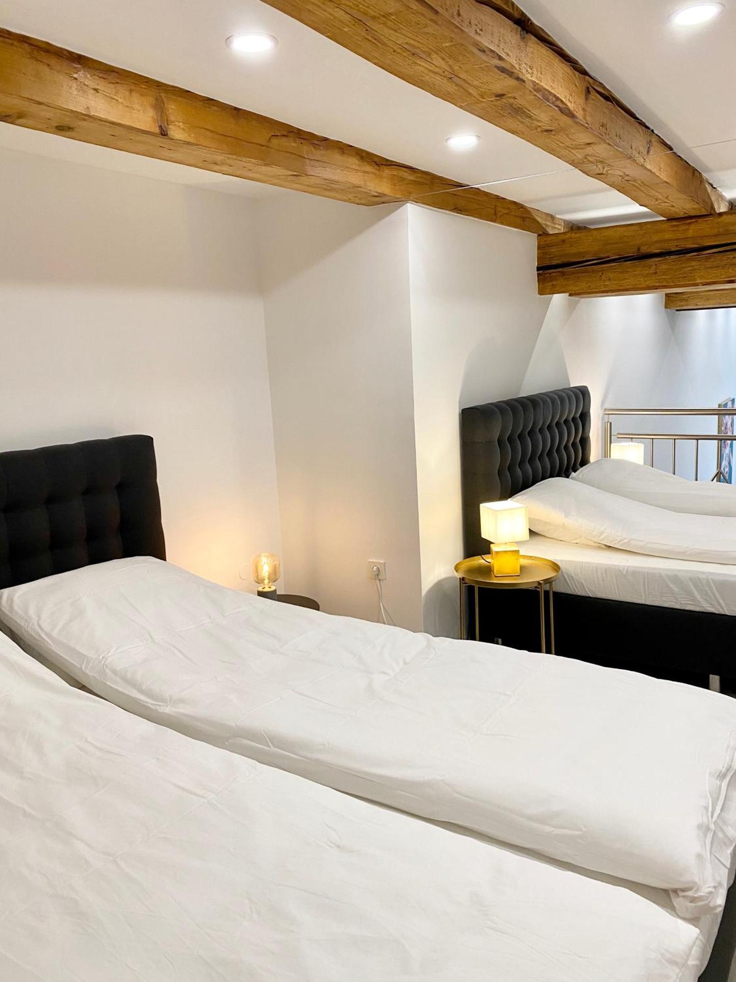 Jungle Loft - Central/Free Parking Ljubljana Kültér fotó